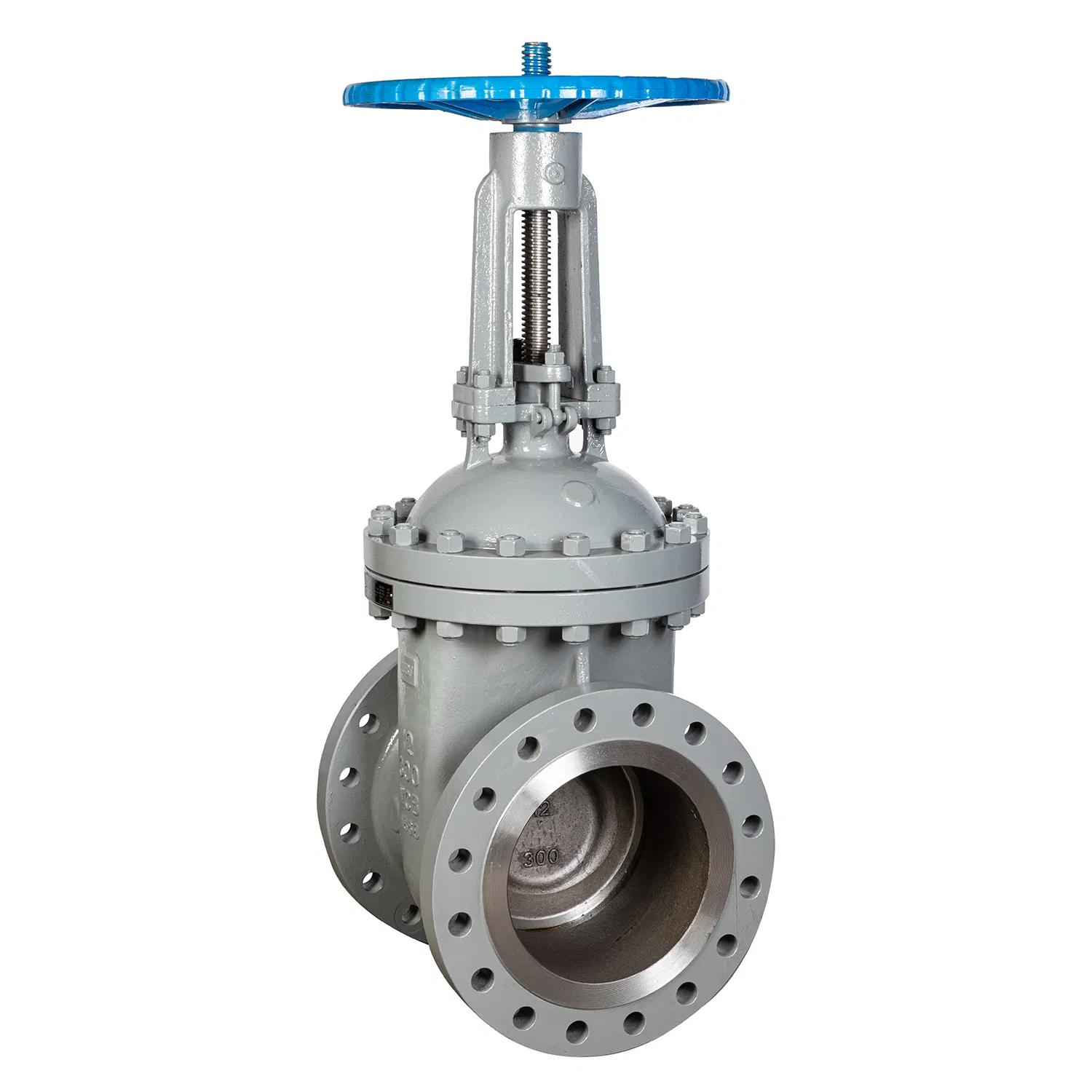 Cast steel gate valve for steam and water duty