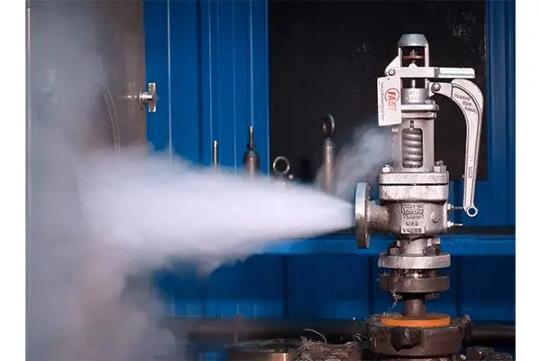 Industrial steam system using isolation and control valves for high-temperature process applications.
