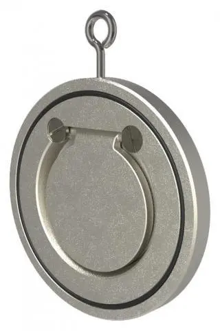 Proxico swing check valve for backflow prevention in Kenya.